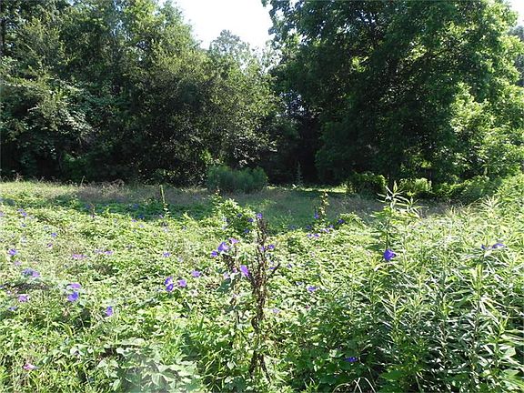 View toward back corner of lot