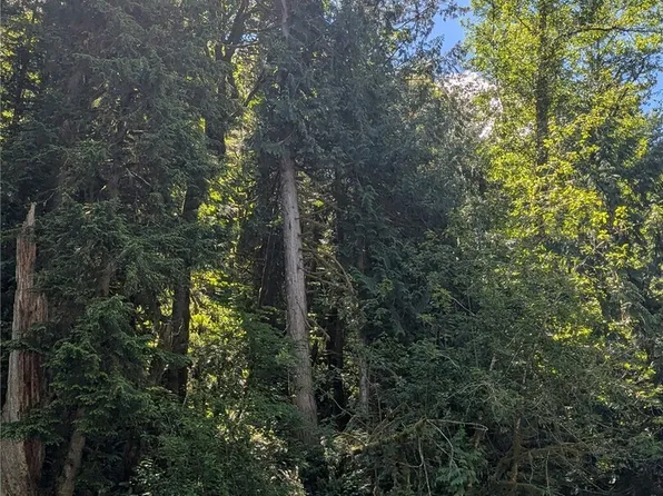 0 St. Route 508 Highway, Morton, WA 98356