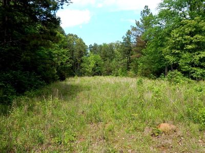 1079 Saulsbury Rd, Falkner, MS, 38629