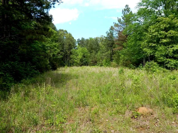 1079 Saulsbury Rd, Falkner, MS 38629