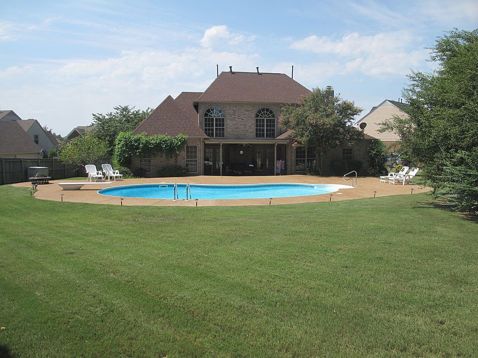 View back backyard