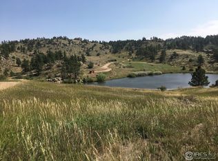 66 Mount Axtell Dr, Livermore, CO 80536