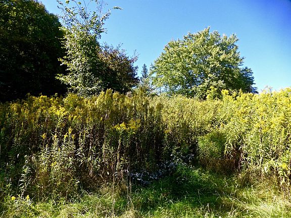 5th image of 2156 County Highway 14