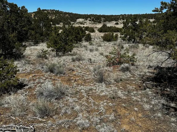 Xx Wild Horse Dr, Pie Town, NM 87827