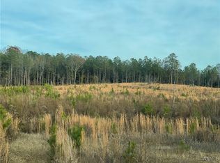 0 Co Rd #A, Millport, AL 35576
