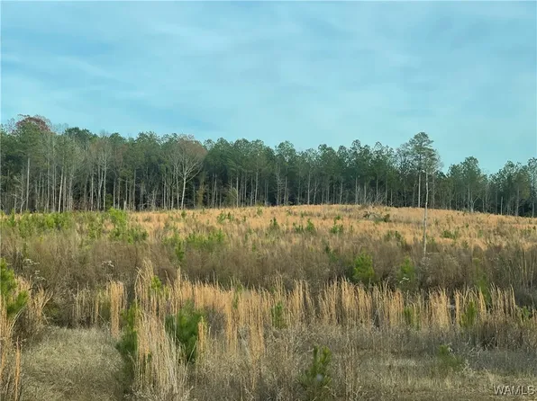 0 Co Rd #B, Millport, AL 35576