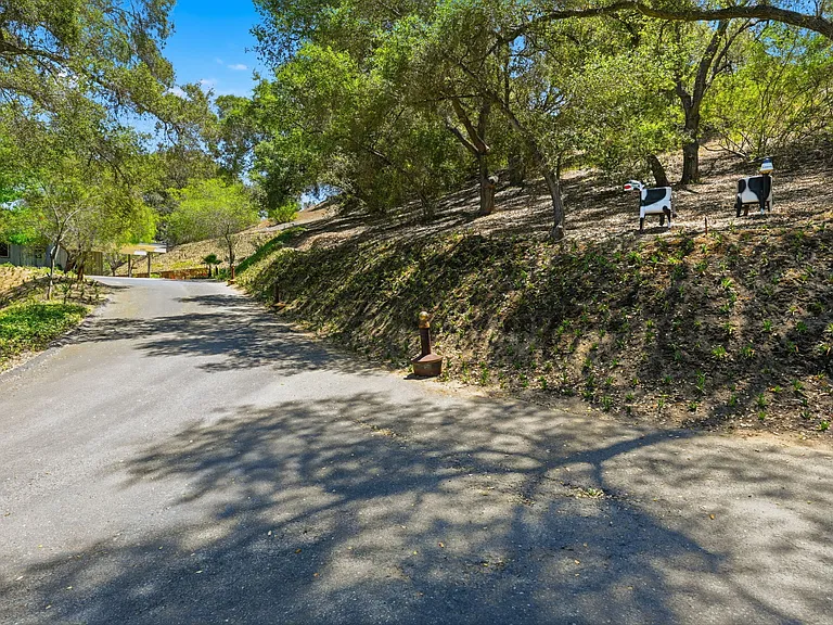 1585 Tecalote Dr — Photo 64