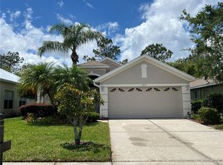 3207 Banyan Hill Ln, Land O Lakes, FL 34639
