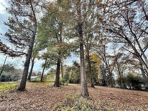 2nd image of 0 S Lee St