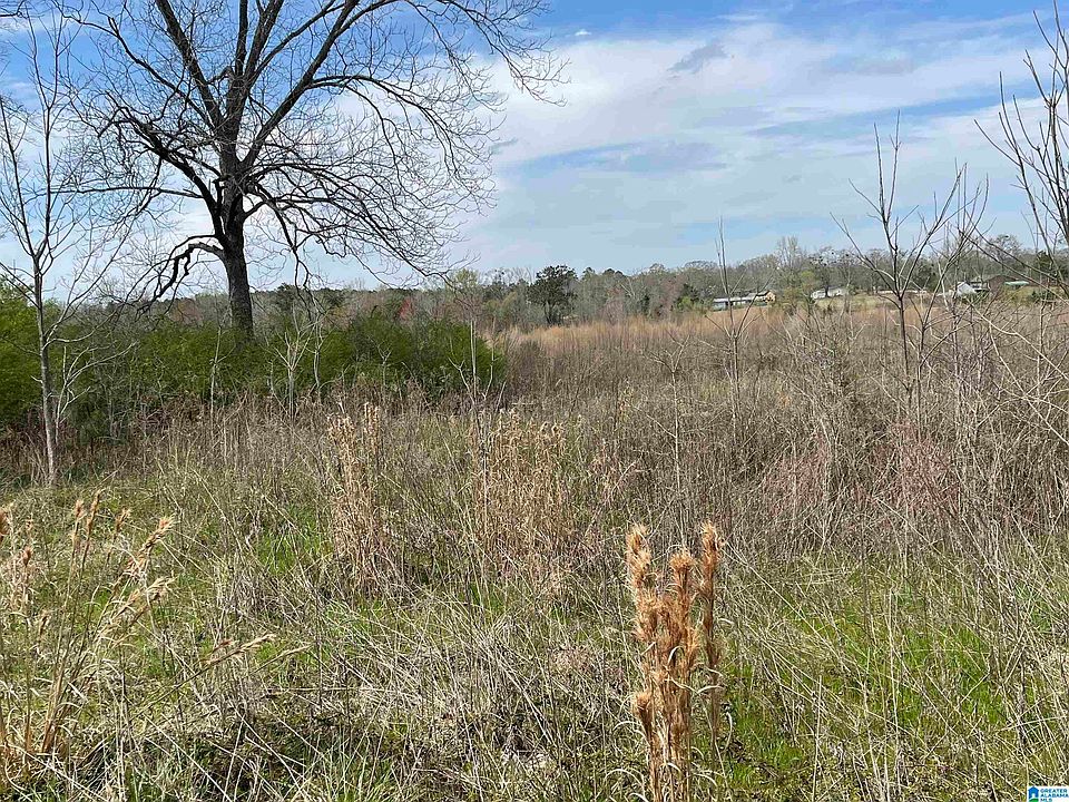 2nd image of 633-B County Rd #83-1