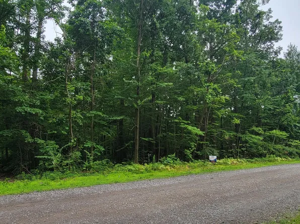 LOT No Rd #8, Nescopeck, PA 18635