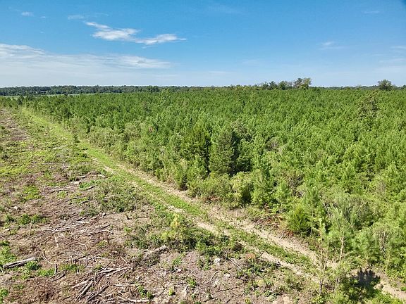 3rd image of 0 Chipola Rd