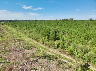 0 Chipola Rd, Slocomb, AL 36375