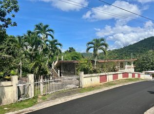 Calle Comunidad Sector La Bo Rio Canas #126, Caguas, PR 00725