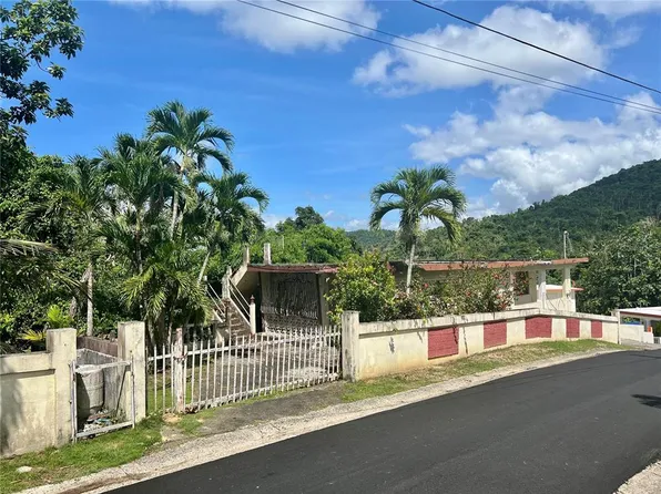 Calle Comunidad Sector La Bo Rio Canas #126, Caguas, PR 00725