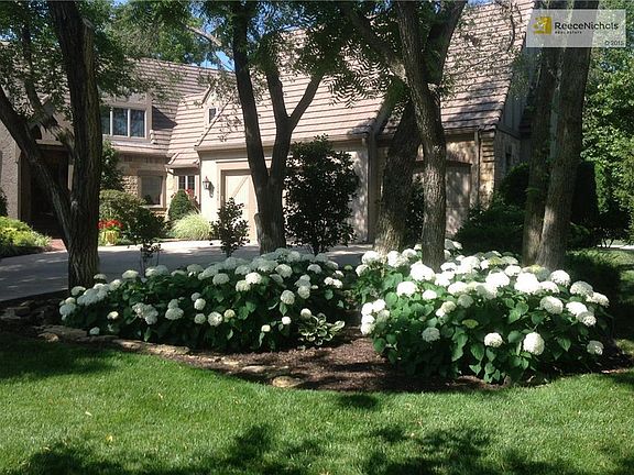 Front yard in full bloom!