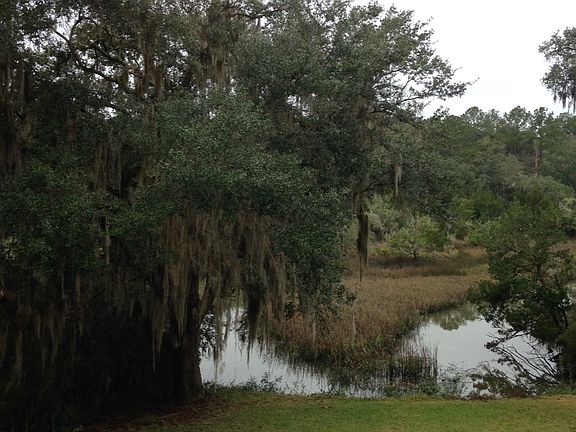 back yard creek