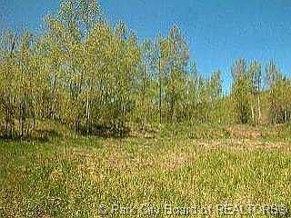5th image of 684 Pine Mountain Cir