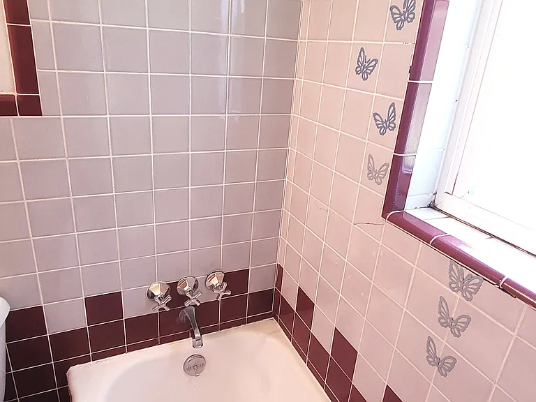 3897 Vine St — Photo 12