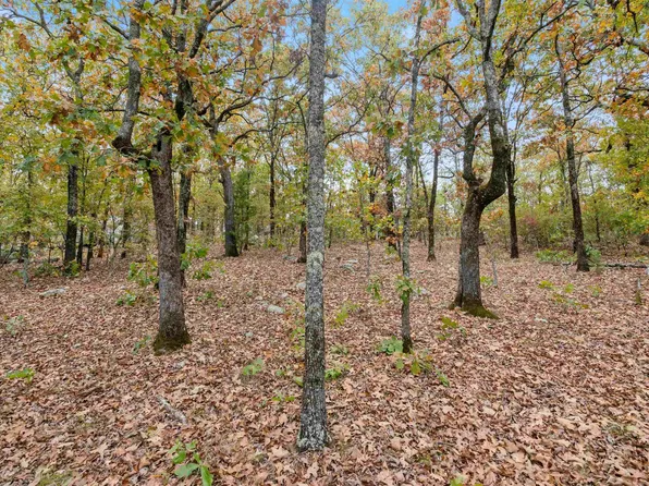 51 W Skyland Dr, Conway, AR 72032