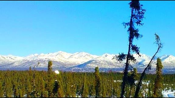 View of the Chugach