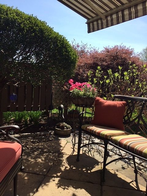 Outdoors in the summer