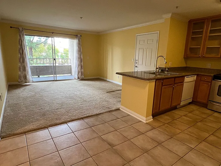 1023 Vista Del Cerro Dr #203 — Photo 6