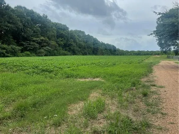 0 Large Rd, Mansura, LA 71350