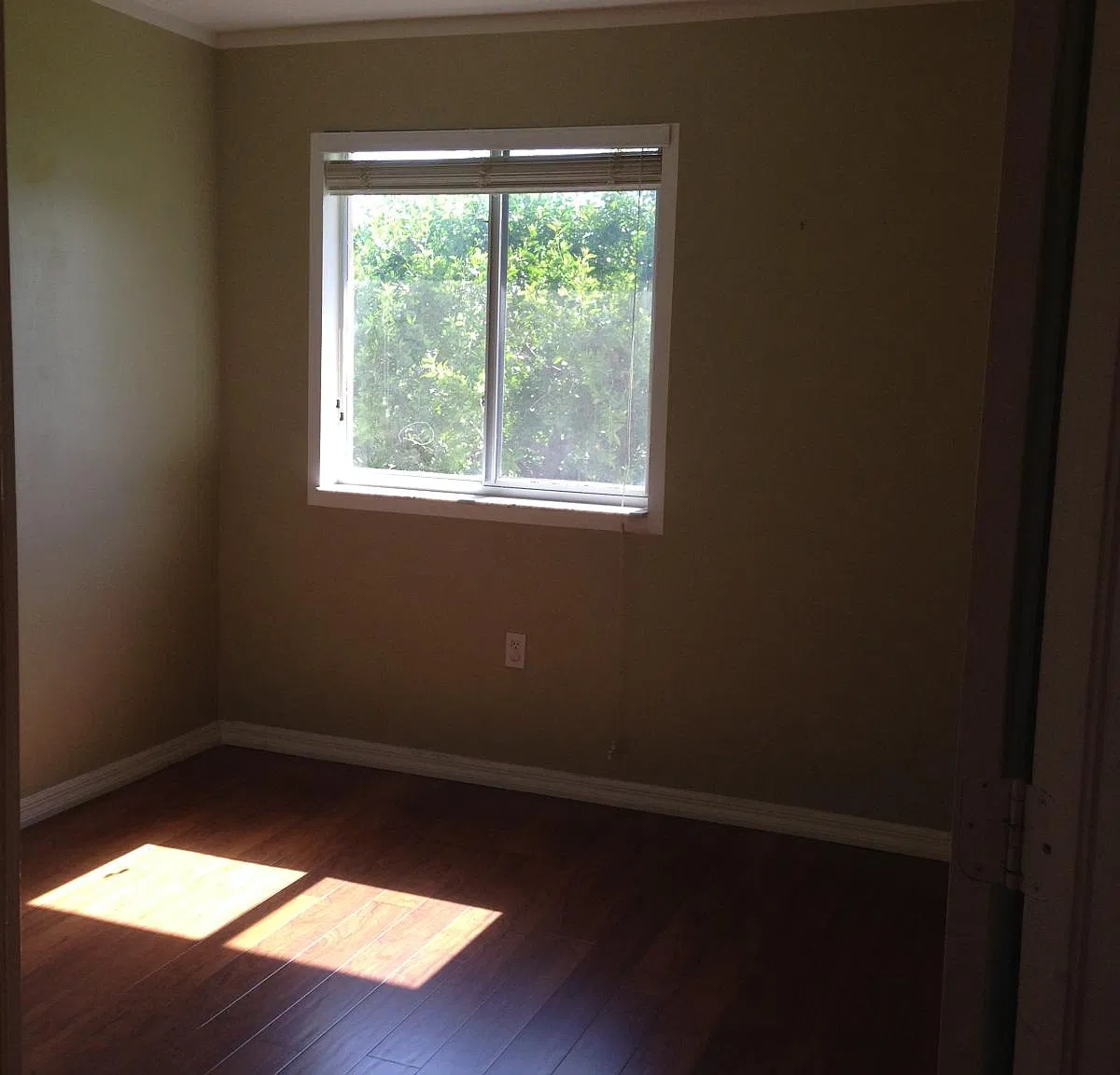 15800 SW 92nd Ave — Photo 4