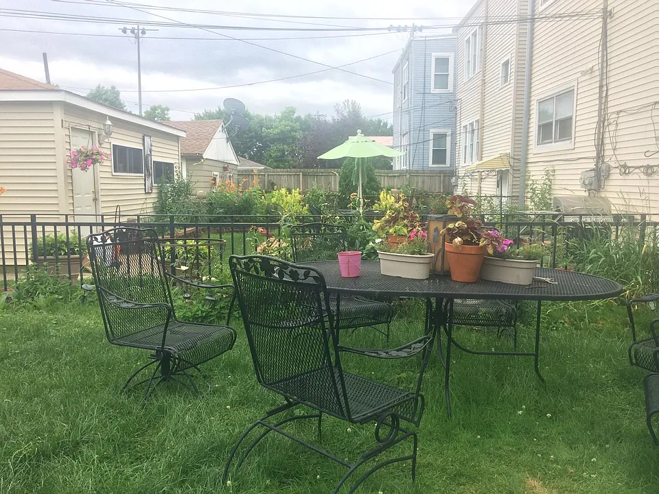 The backyard and neighbors.