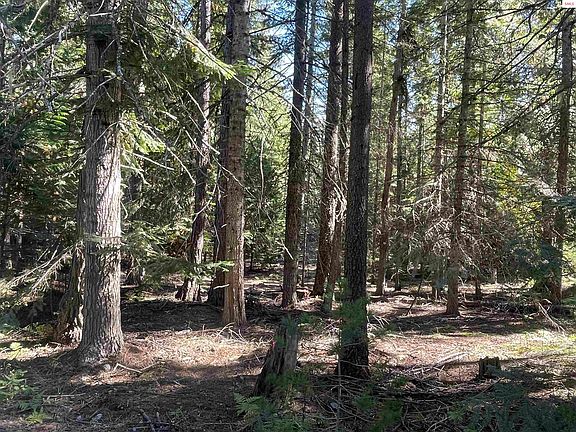 4th image of Nna Wolverine Rd Tract 2