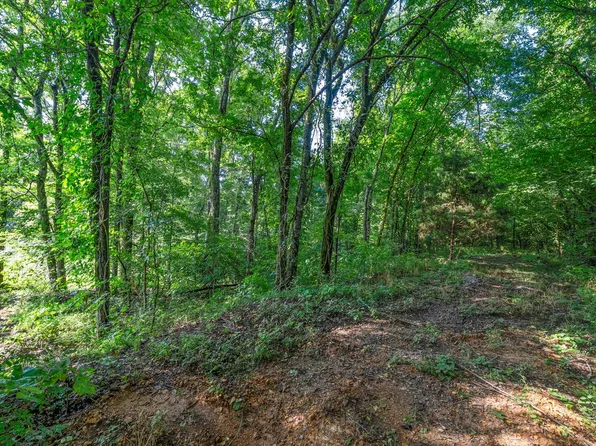 1 Highway 149 Lot 1, Cumberland City, TN 37050