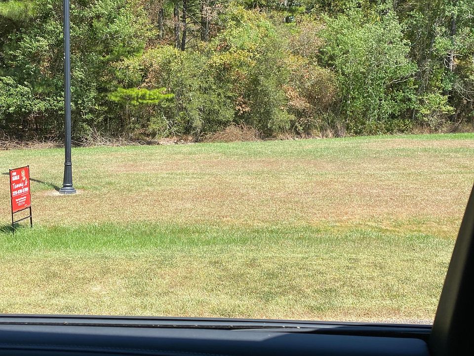 1st image of Shelby Dr #41