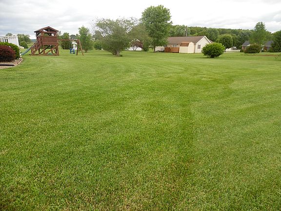 large level back yard