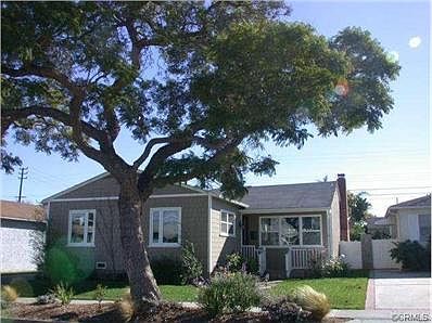 Beautiful Jacaranda tree out in front