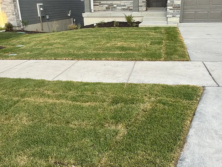 896 N Banner Dr — Photo 2