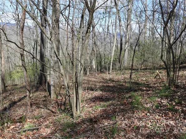Butternut Trl, Waynesville, NC 28785
