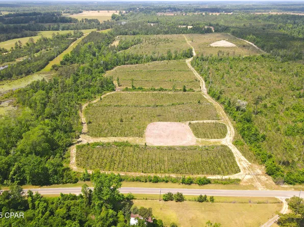 0 Sinai Rd, Sneads, FL 32460