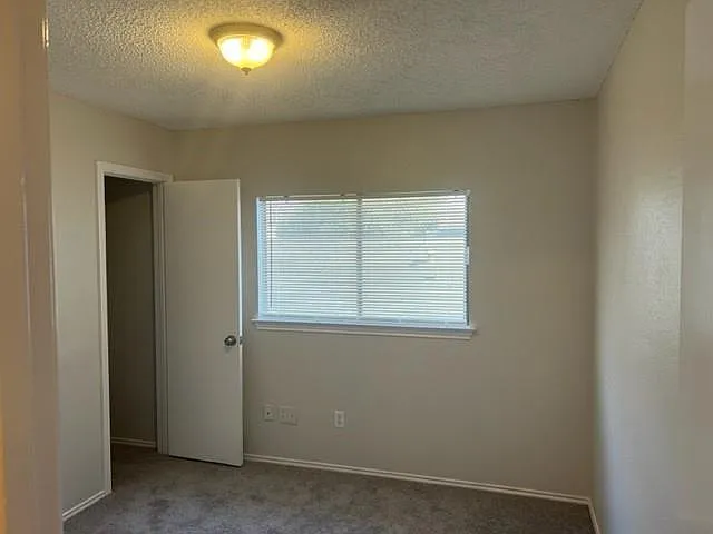7304 Potters Trl — Photo 13