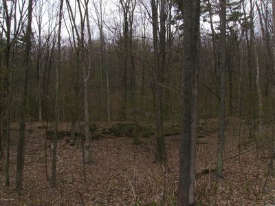 N End Rd, Mountain Top, PA, 18707