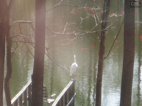 3rd image of 66 Stratford Plantation Dr