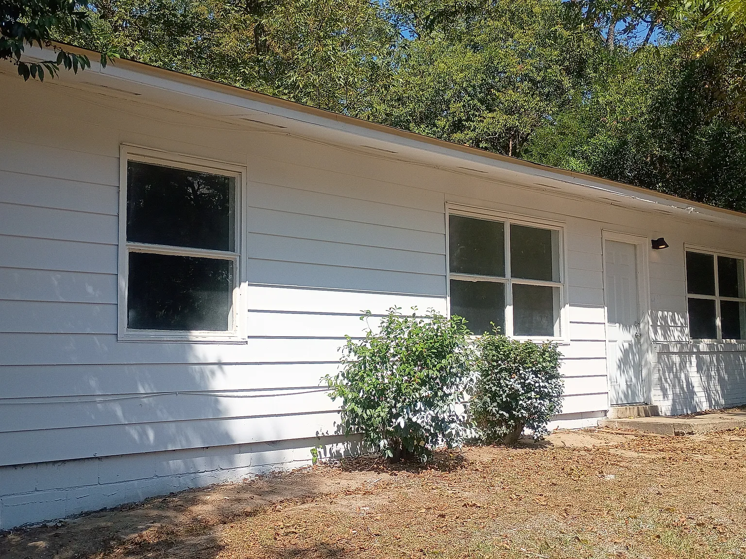 3 bed, 1000 sqft, $1,120 — Photo 2