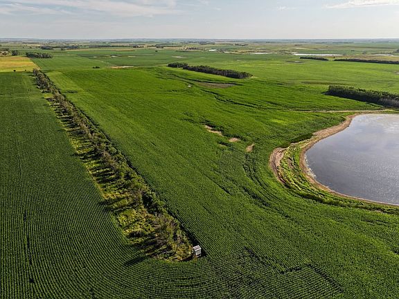 Dji Fly 20250718 183712 0154 1753229682577 Photo 1 