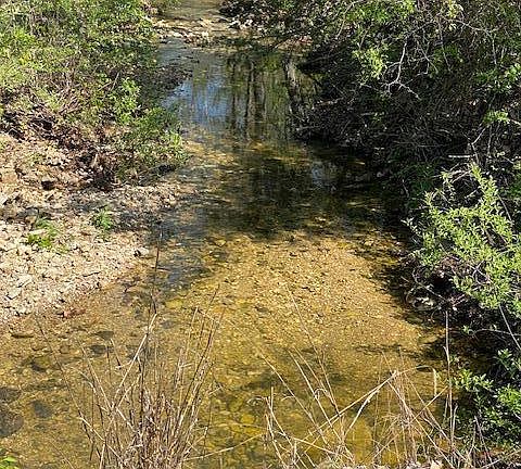 4th image of 9029 County Road 457