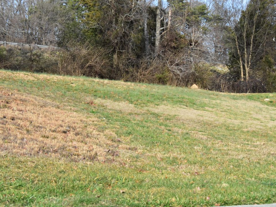 1st image of 0 Cotton Blossom Ln Lot 11
