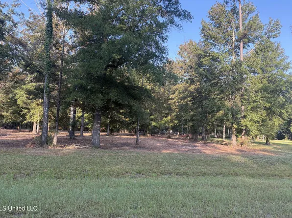 0 Shire Ave Lot 33, Forest, MS 39074