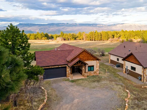 524 Badger Trl S, Ridgway, CO 81432