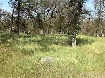 1 Thunder Rd photo 1