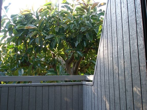 5th image of 2429 Cheremoya Ave APT 4
