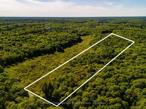 0 Dudley Rd, Muskoka Lakes, ON P0B 1J0